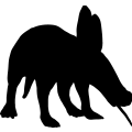 (image for) Aardvark Anteater
