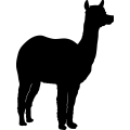 (image for) Alpaca Silhouette 1