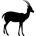 (image for) Antelope 2 _