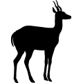 (image for) Antelope 4 _