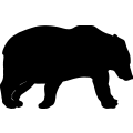 (image for) Bear 25 =