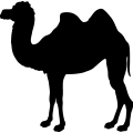 (image for) Camel 3 _