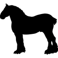 (image for) Clydesdale 001 =