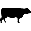 (image for) Cow 103 =