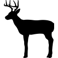 (image for) Deer 046 =