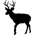 (image for) Deer 047 _