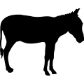 (image for) Donkey 22 =