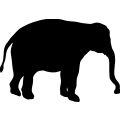 (image for) Elephant 20 =