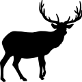 (image for) Elk 2 =