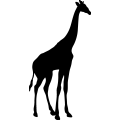 (image for) Giraffe 12 =
