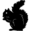 (image for) Squirrel 016 =