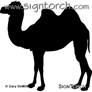 (image for) Camel 3 _