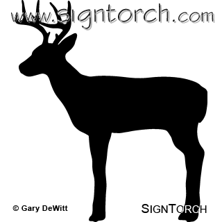 (image for) Deer 046 =