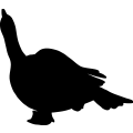(image for) Duck 017 _