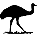 (image for) Emu 1 =