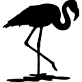 (image for) Flamingo 8 =