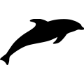 (image for) Dolphin 14 _