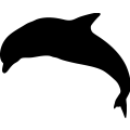 (image for) Dolphin 3a =
