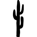 (image for) Cactus 032