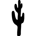 (image for) Cactus 033