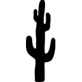 (image for) Cactus 035