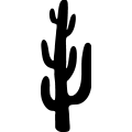 (image for) Cactus 036