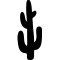 (image for) Cactus 037