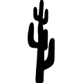 (image for) Cactus 040