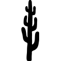 (image for) Cactus 041