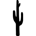 (image for) Cactus 043