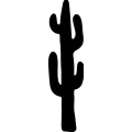 (image for) Cactus 046