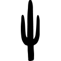 (image for) Cactus 047