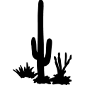 (image for) Cactus 19 _