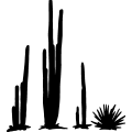 (image for) Cactus 23 -