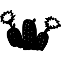 (image for) Cactus Flower 001 =