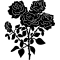 (image for) Roses 1 =