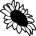 (image for) Sunflower 007 =