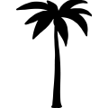 (image for) Palm Tree 150 _