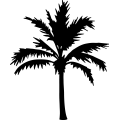 (image for) Palm Tree 198 =