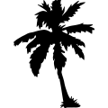 (image for) Palm Tree 202 =