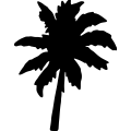 (image for) Palm Tree 287 _