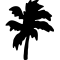 (image for) Palm Tree 288 _