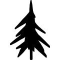 (image for) Pine Tree 144 _