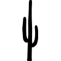 (image for) Saguaro 2 _
