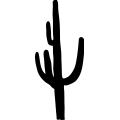 (image for) Saguaro _