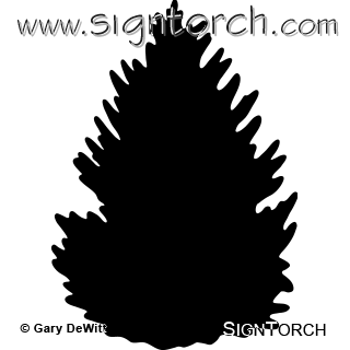 (image for) Douglasfir Tree _