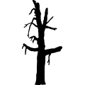 (image for) Tree 121 =