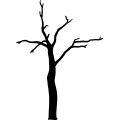 (image for) Tree 143 =