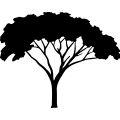 (image for) Tree 172 =