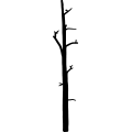 (image for) Tree 180 _